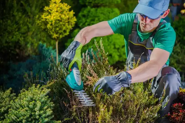 landscaping services North Amityville